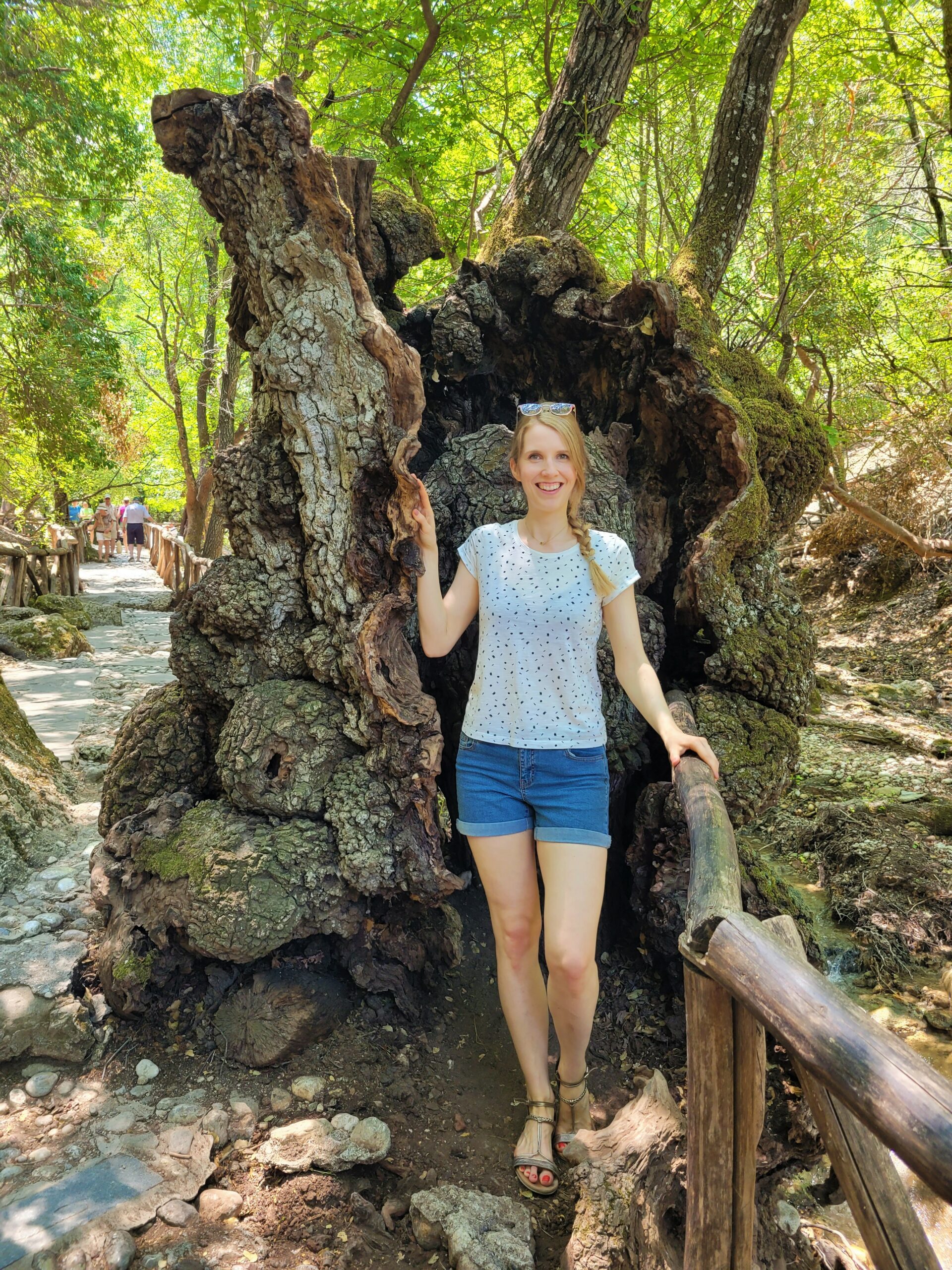 blog-fernfreude-autorin