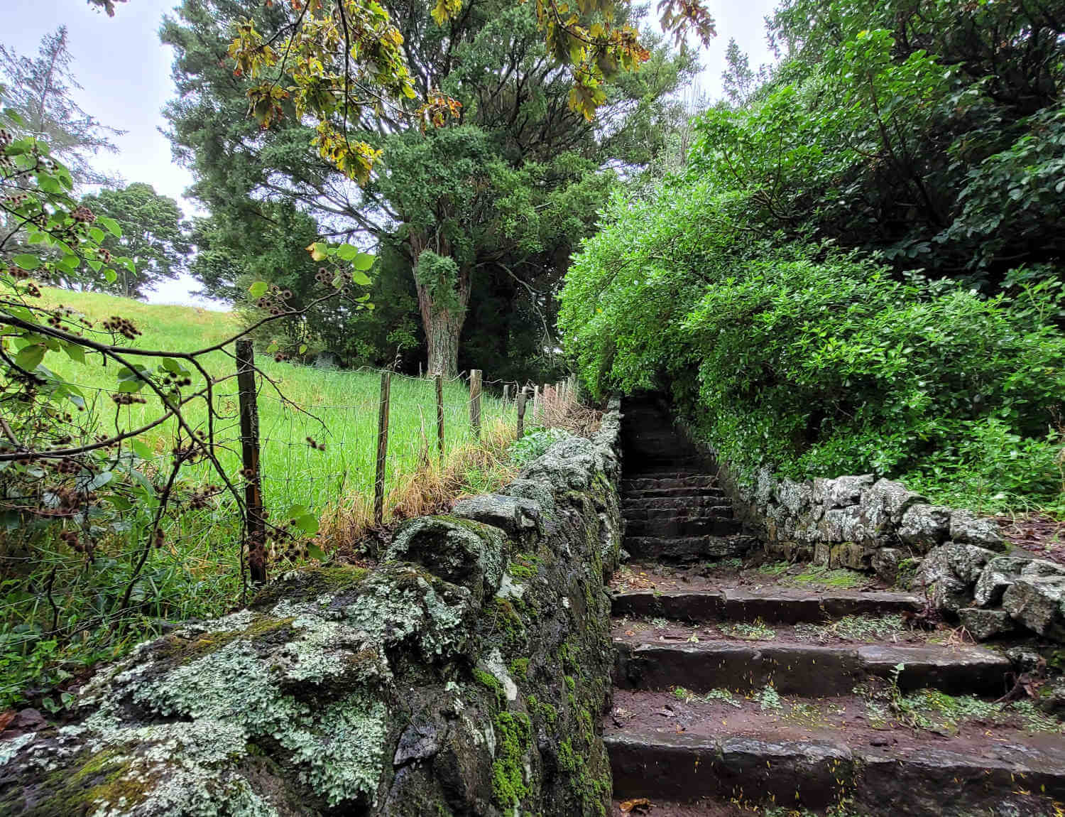 Weg zum Mount Eden