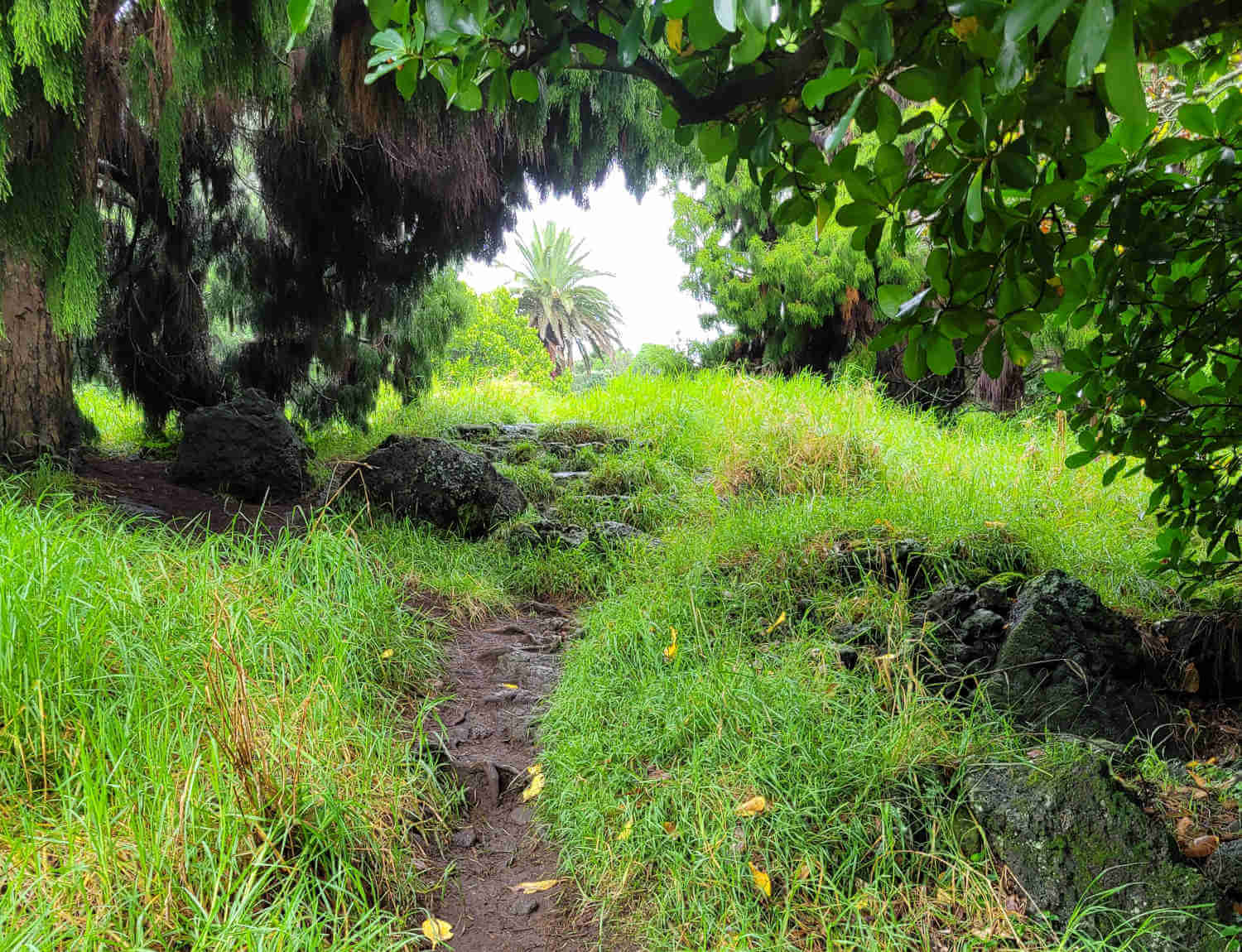 Weg zum Mount Eden