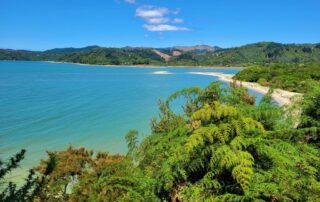 Abel Tasman Coast Track: Wandern in Neuseeland
