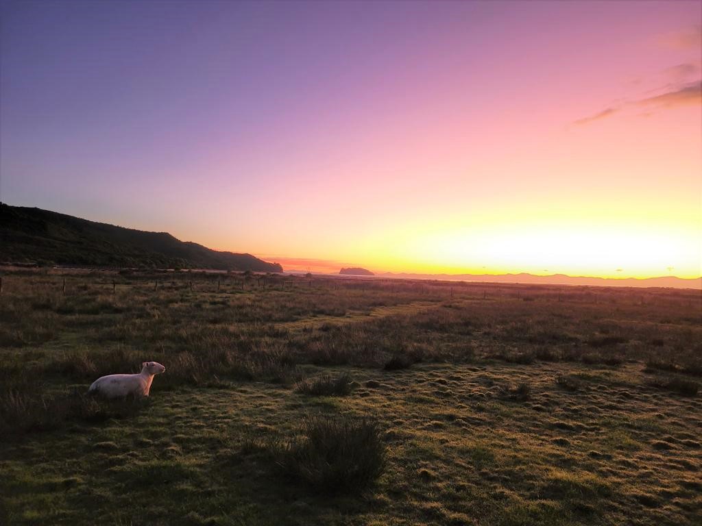 Ausblick vom Campingplatz auf die Tasman Bay