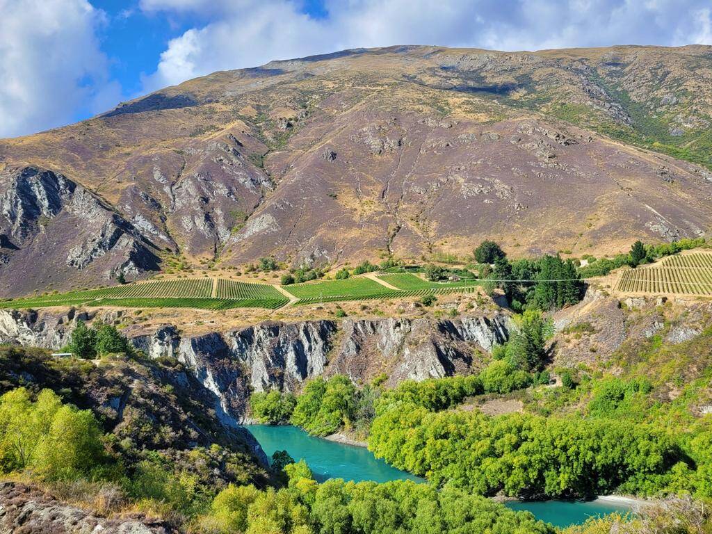 Gibbston Valley mit Kawarau River und Weinreben