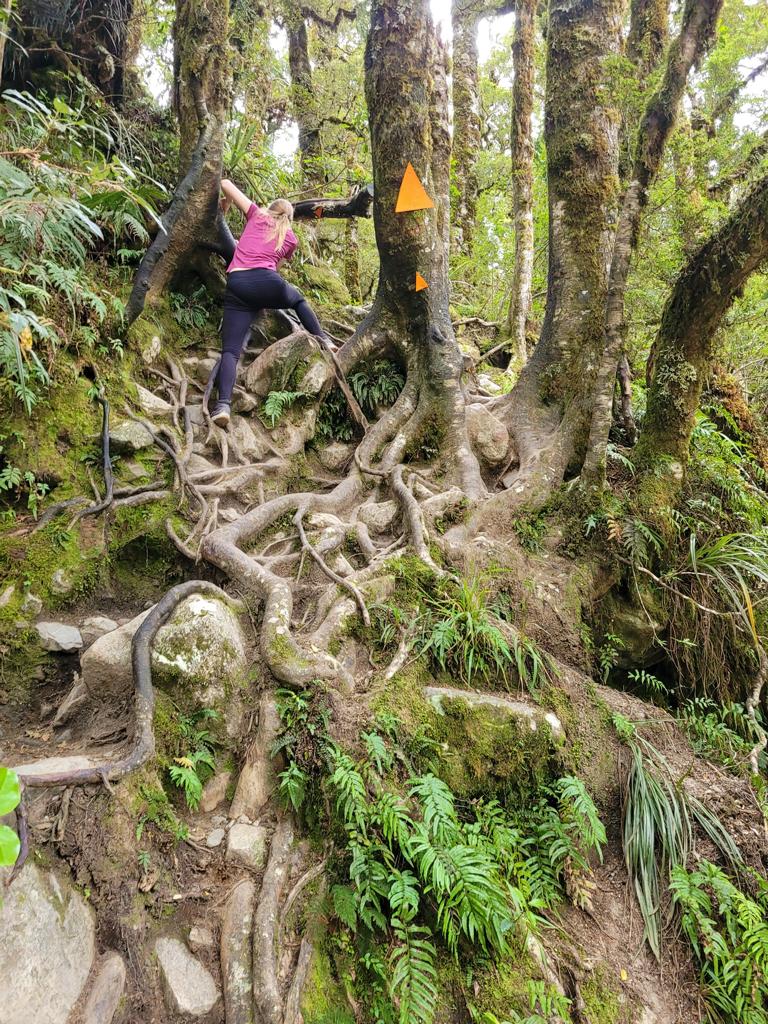 Lake Marian Trail in Neuseeland