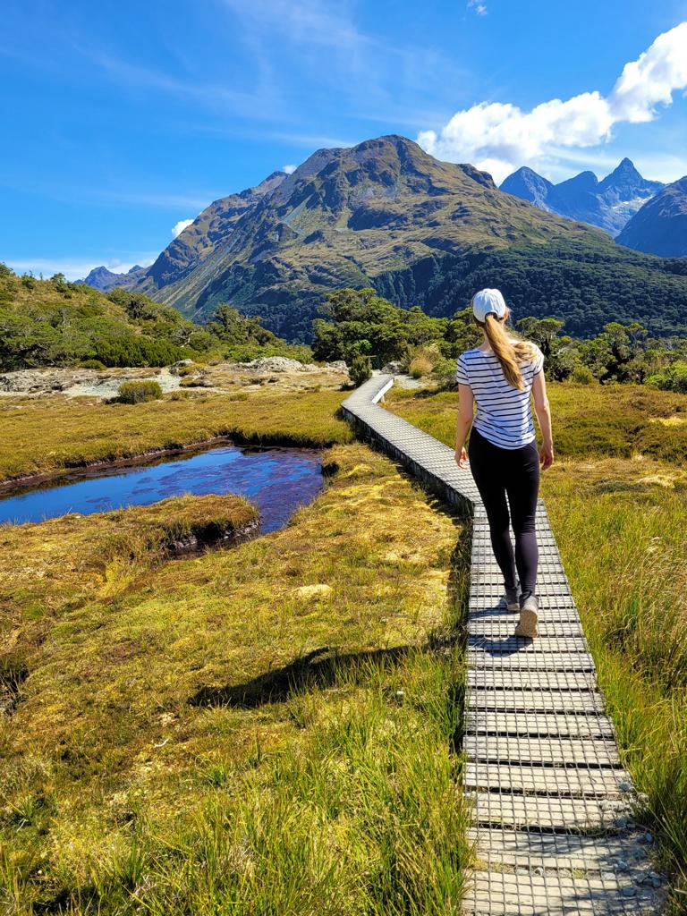 Holzsteg-Wanderung in Neuseeland