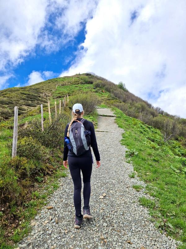 Zum Gipfel wandern: Riedberger Horn