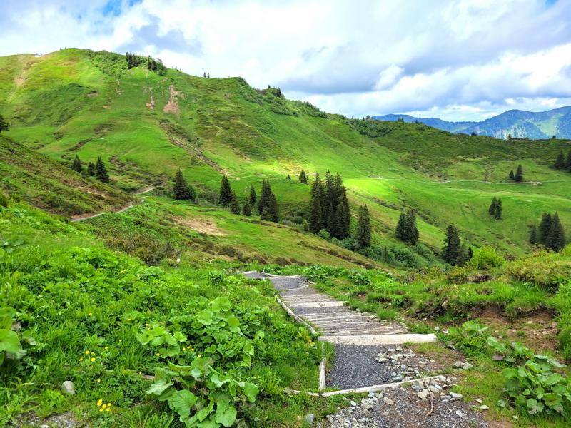 Der Weg zum Riedberger Horn