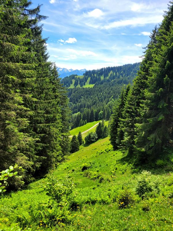 Wandern auf dem Ofterschwanger Horn