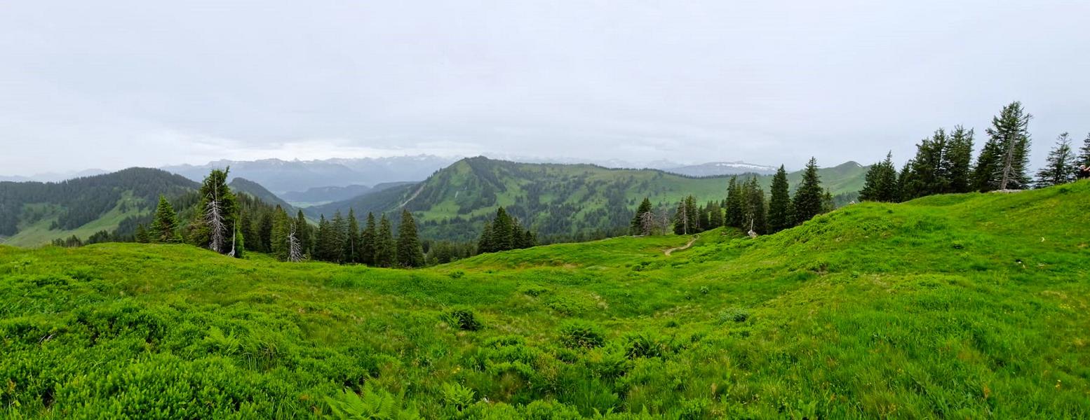 Panorama bei der Wanderung auf dem Bolsterlanger Horn