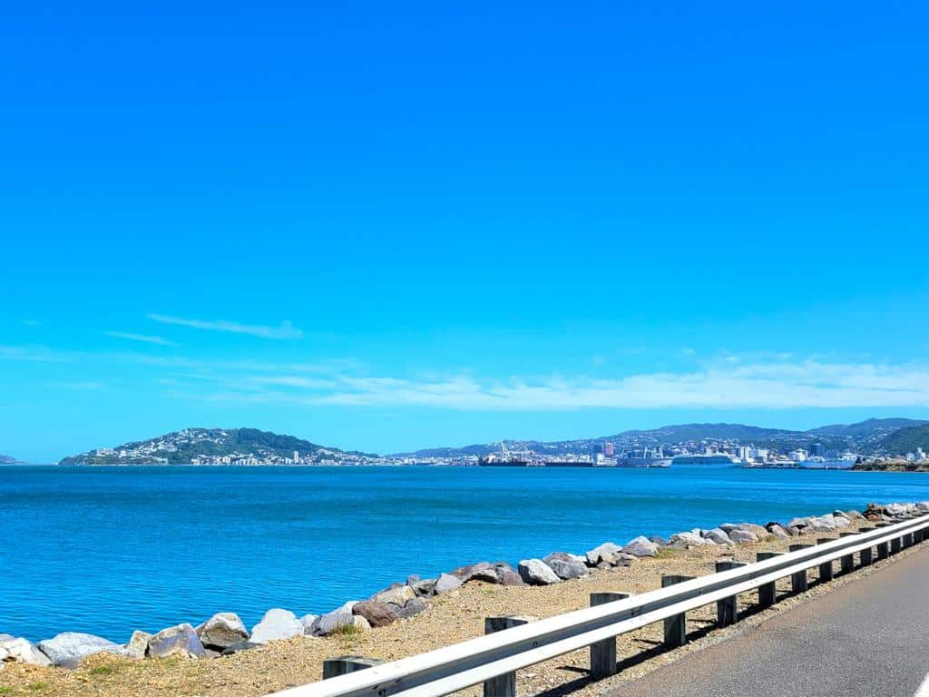 Mit dem Mietwagen auf dem Highway in Neuseeland