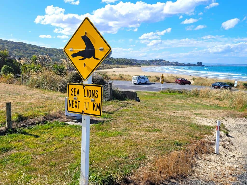 Straße auf der Südinsel in Neuseeland vor Meeresbucht mit Seelöwen-Schild im Vordergrund