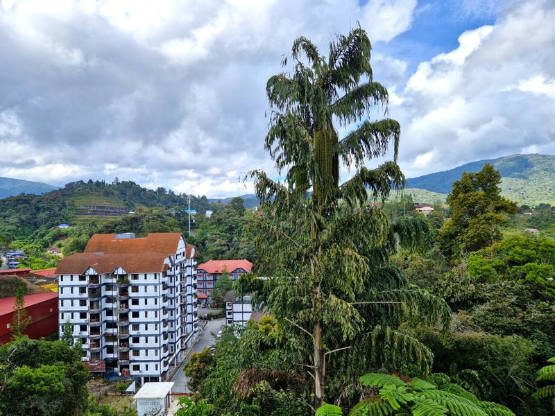 Ausblick auf die Cameron Highlands: Heritage Hotel
