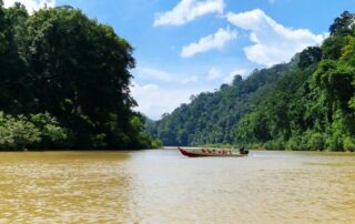 Taman Negara Nationalpark: Fluss Tembeling