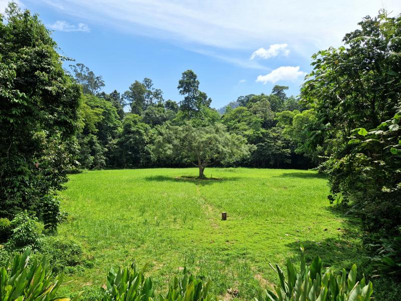 Tierbeobachtung im Taman Negara