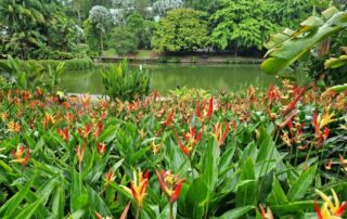 Botanischer Garten in Singapur