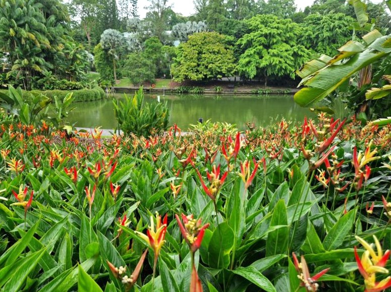 Botanischer Garten in Singapur