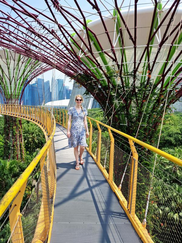 Skywalk im Gardens by the Bay Skywalk im Gardens by the Bay