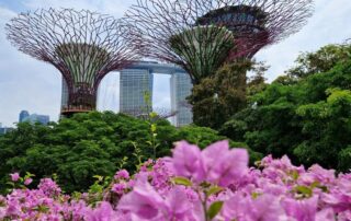 Gardens by the Bay und Marina Bay