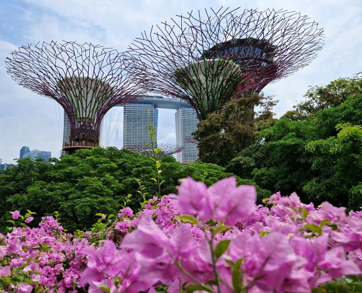 Gardens by the Bay und Marina Bay Sands Hotel in Singapur Gardens by the Bay und Marina Bay Sands Hotel in Singapur