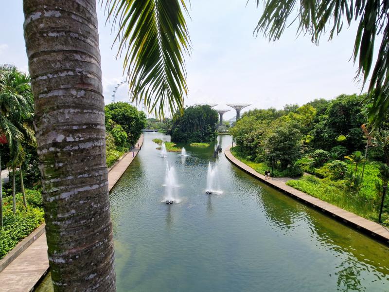Singapur-Tipps: Gardens by the Bay Singapur-Tipps: Gardens by the Bay
