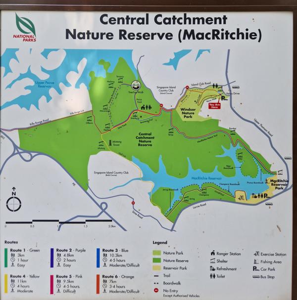 MacRitchie Reservoir Park in Singapur