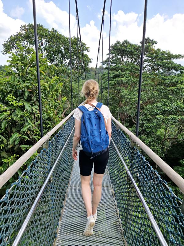 Treetop Walk im MacRitchie Reservoir Park in Singapur
