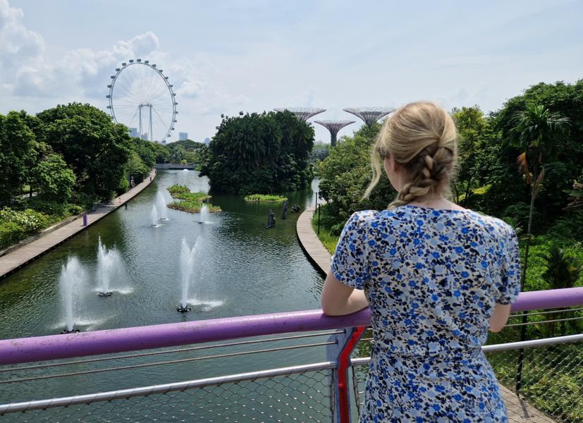 Dragonfly Bridge im Gardens by the Bay Dragonfly Bridge im Gardens by the Bay