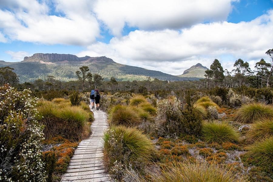 Wandern auf dem OVerland Track in Tasmanien