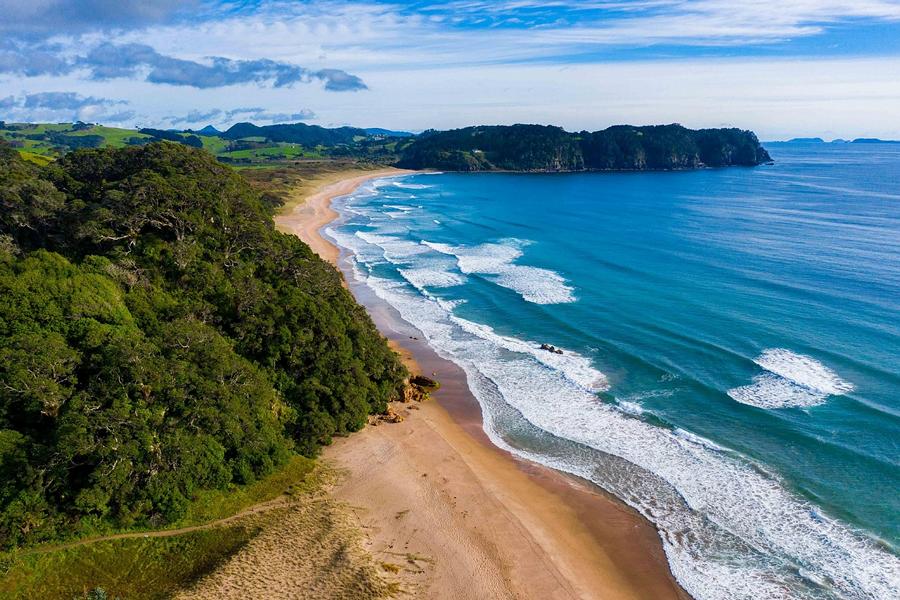 New Chums Beach auf der Coromandel Halbinsel in Neuseeland