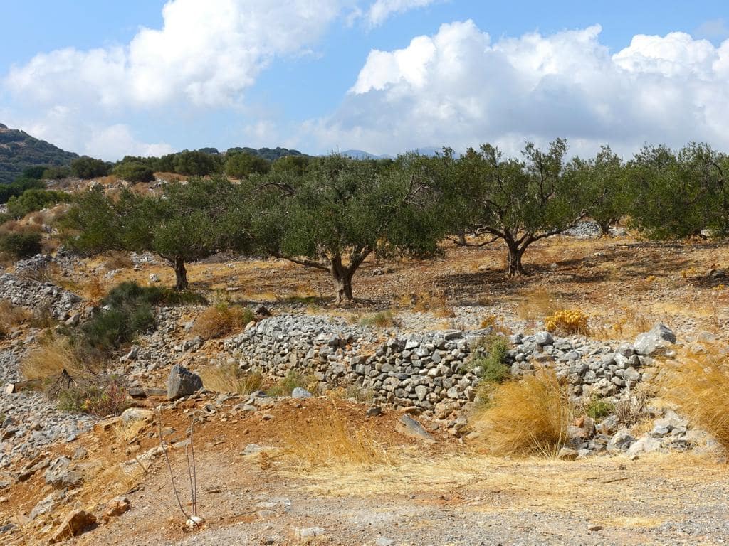 Autofahren auf Kreta mit dem Mietwagen
