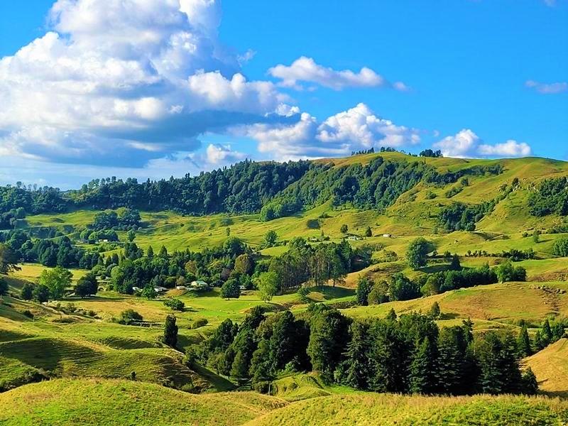 Matamata: Hobbiton Movie Filmset-Tour