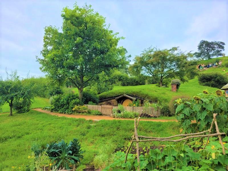 Neuseeland: Hobbiton-Tour 