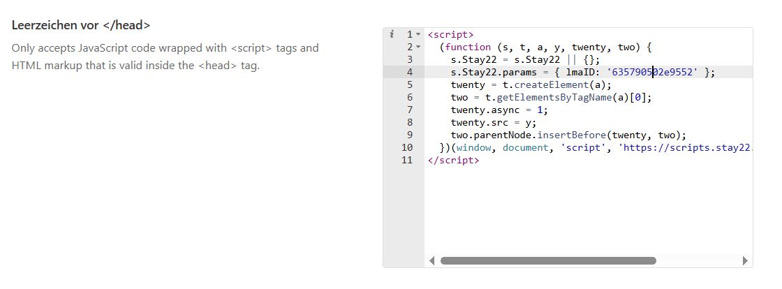 Stay22 Script-Code im Header einfügen