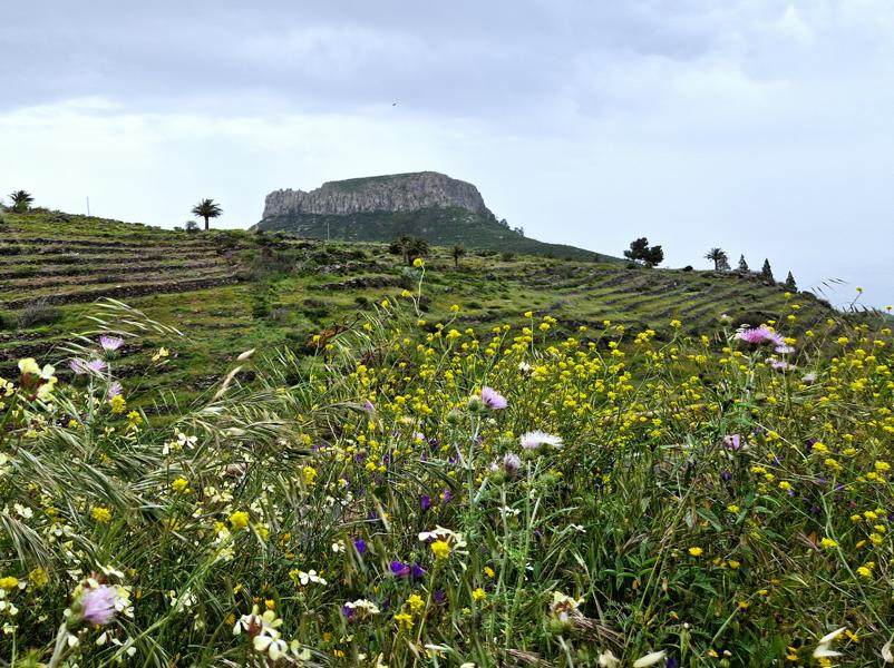 fortaleza-de-chipude-tafelberg Wandern rund um den Fortaleza de Chipude