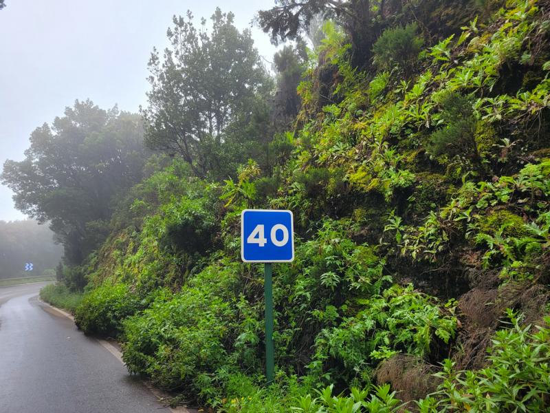 geschwindigkeit-la-gomera Empfohlene Geschwindigkeit auf La Gomera