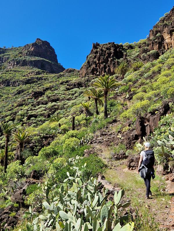 Wandern auf La Gomera in der Guarimiar-Schlucht
