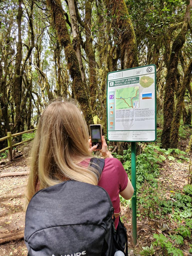 Orientierung im Garajonay Nationalpark beim Wandern
