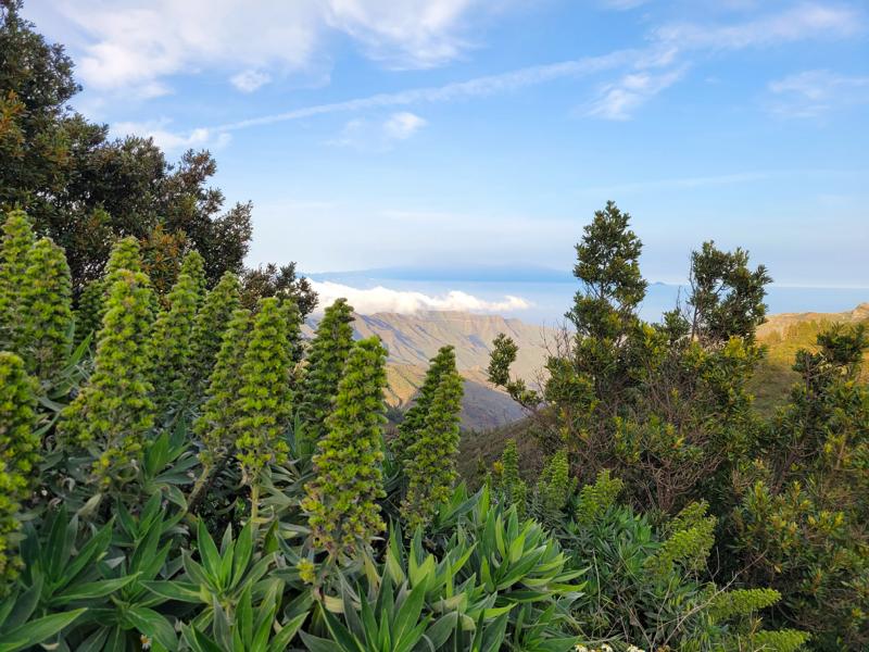 wanderungen-la-gomera-im-nationalpark Wanderungen auf La Gomera: Nationalpark