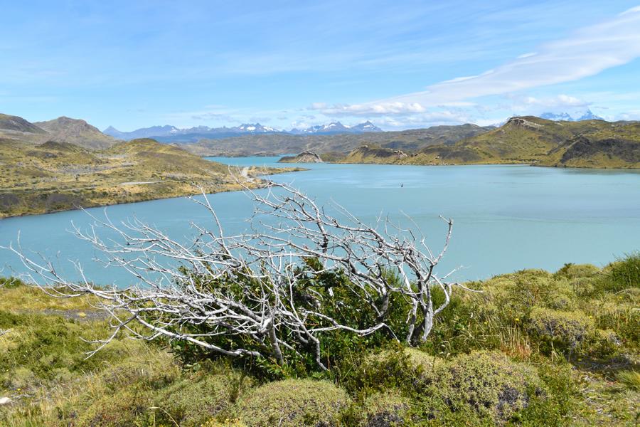 torres-del-paine-see Gutes Wetter im Torres del Paine Nationalpark