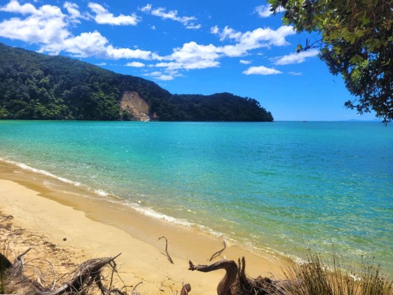 Strand im Abel Tasman Nationalpark