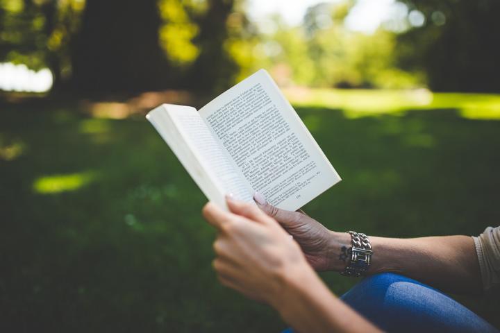 Buch in Natur