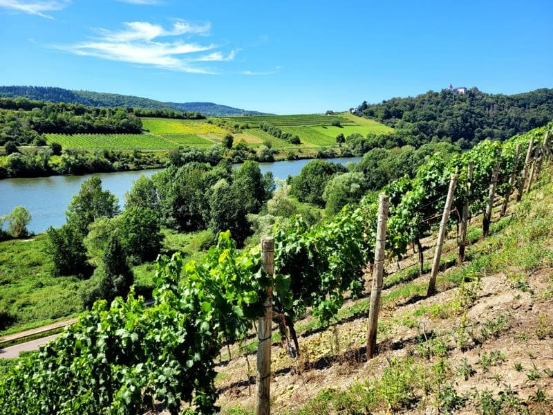 geheimtipp-mosel-wanderung Jufferweg an der Mosel: Tipp für Wanderung