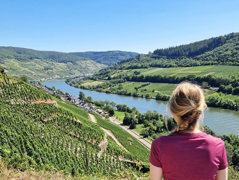 Mosel-Panorama