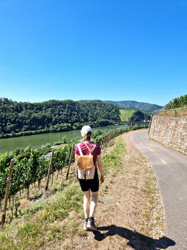 Entlang der Mosel wandern