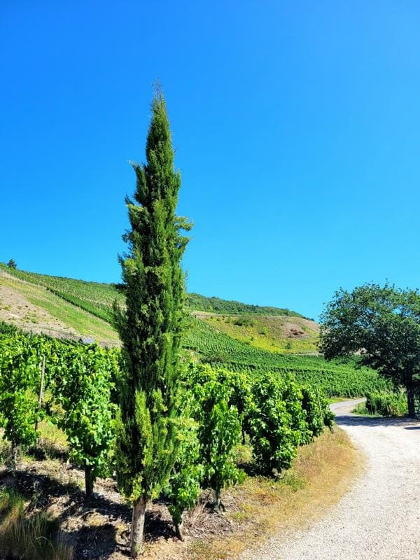 Landschaft auf dem Jufferweg