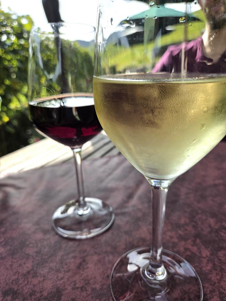 Weinprobe im Ahrtal