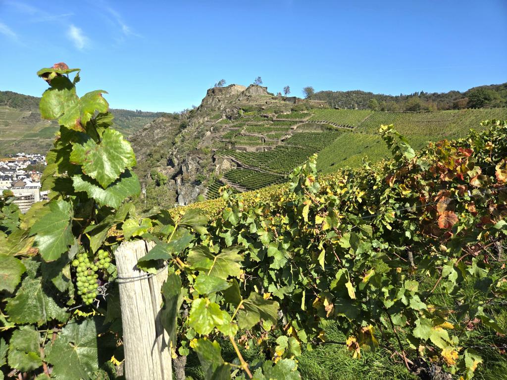 saffenburg-ruine-ahrtal Wanderung: Kleine Saffenburgrunde