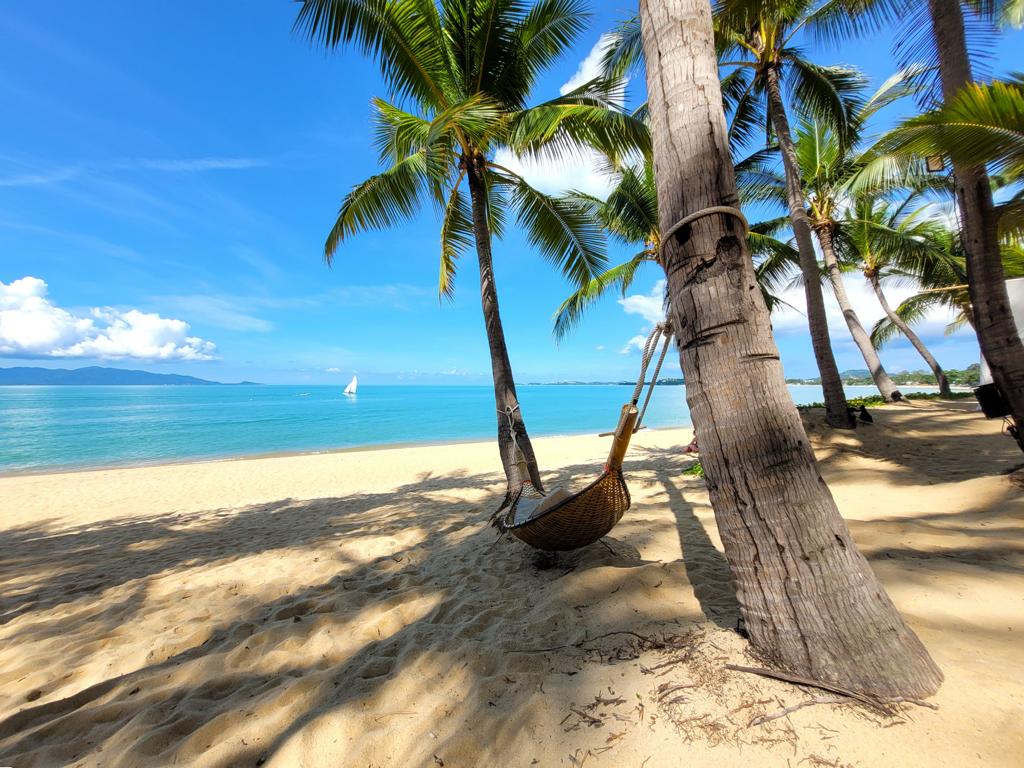 Reisetipps für Backpacking in Thailand