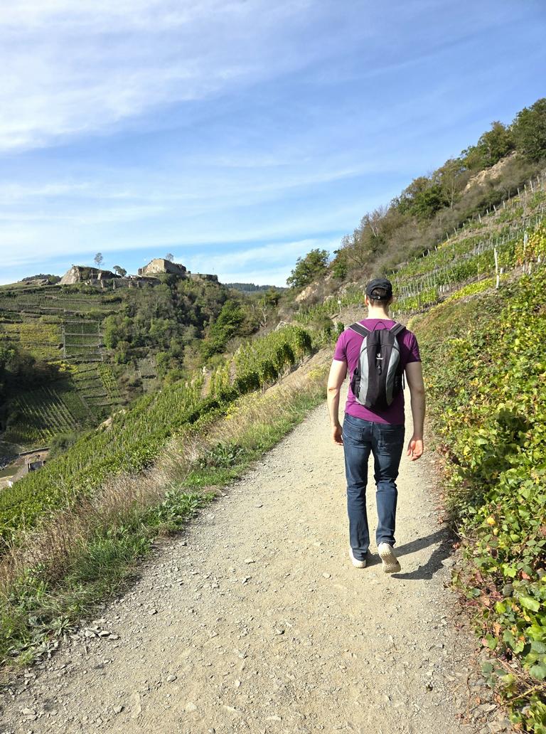 Wanderweg im Ahrtal